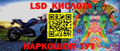 эйфоретик Кингисепп