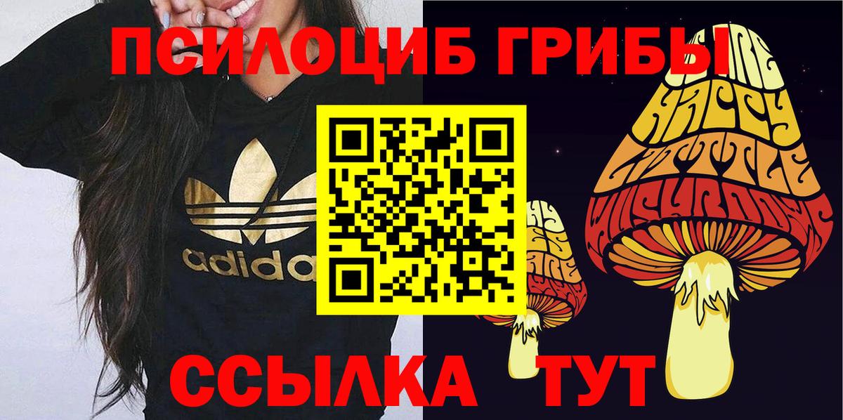 Псилоцибиновые грибы Psilocybine cubensis Крымск