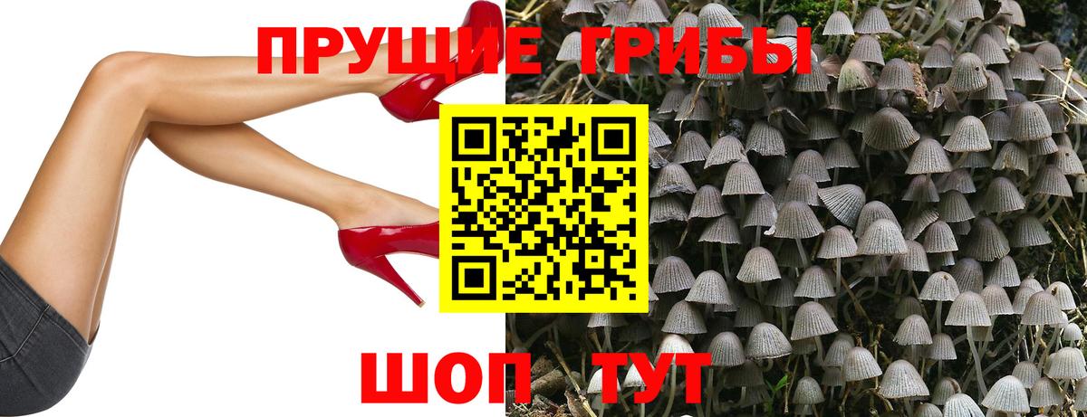 Псилоцибиновые грибы Cubensis  где купить наркотик  Псилоцибиновые грибы мухоморы  Крымск  Вход с VPN 